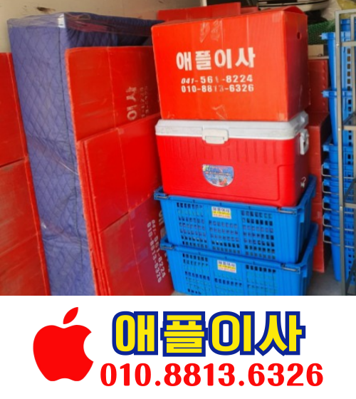 애플이사